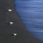 Fuerteventura